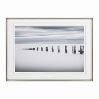 постер seagulls on stilts разноцветный в Ростове-на-Дону