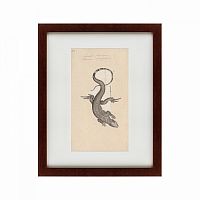 картина: lucertola, 1789 в Ростове-на-Дону