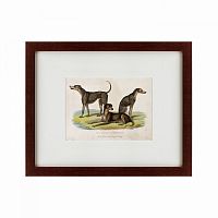 картина: three african bloodhounds, 1830 в Ростове-на-Дону