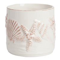 декоративная банка starfish в Ростове-на-Дону