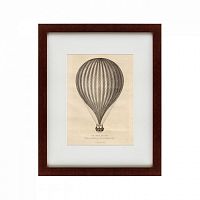 картина: the great balloon, 1788 в Ростове-на-Дону