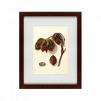 картина: watercolor collection, drawing №3, 1909 в Ростове-на-Дону