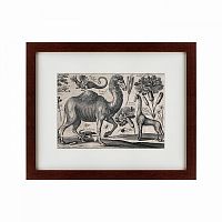 картина: a camel, 1670 в Ростове-на-Дону