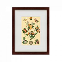 картина: grammar of ornament №10, 1856 в Ростове-на-Дону