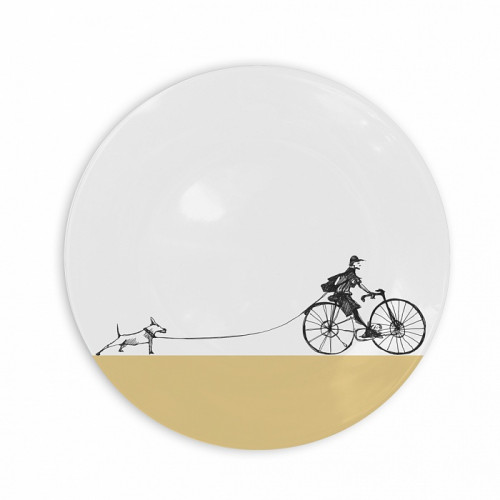 тарелка прогулка в Ростове-на-Дону