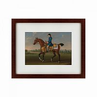 картина: bay racehorse with jockey up, 1730 в Ростове-на-Дону