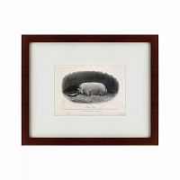 картина: a prize boar, 1867 в Ростове-на-Дону