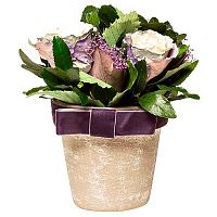 цветочная композиция с розами в горшке 17х21 в Ростове-на-Дону