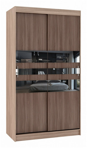 шкаф-купе для спальни баронс риф-2 зеркало вариант 6 (2 секции) в Ростове-на-Дону
