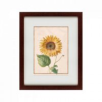 картина: watercolor over pencil etude №3, 1750 в Ростове-на-Дону