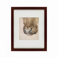 картина: muzzle of an ox seen from the front, 1527 в Ростове-на-Дону