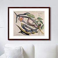 картина: exotic plants of the world №12, 1815г. в Ростове-на-Дону