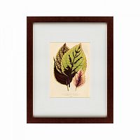 картина: les plantes a feuillage color, 1869 в Ростове-на-Дону