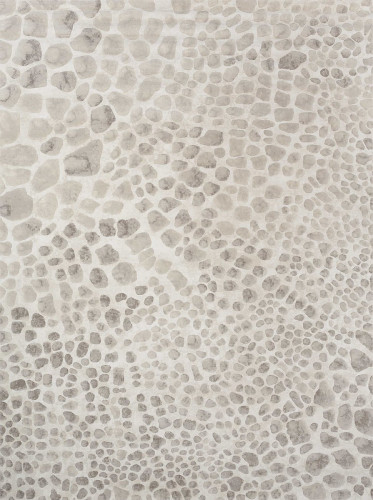 ковер ivory 64227i6575 120x170 в Ростове-на-Дону