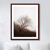 картина: lonely wood в Ростове-на-Дону