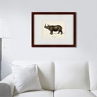 картина: rhinoceros ancienne gravure, 1849 в Ростове-на-Дону