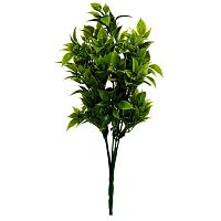 декоративное растение рускус 33 см в Ростове-на-Дону