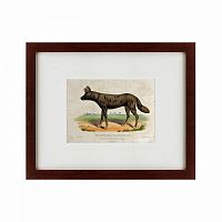 картина: a tortoise-shell hyena, or hye, 1830 в Ростове-на-Дону