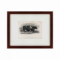 картина: a short horned cow, 1850 в Ростове-на-Дону