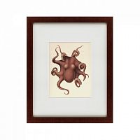 картина: pacific octopus, 1731 в Ростове-на-Дону