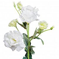 лизиантус белый 77 см (12) в Ростове-на-Дону