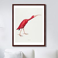 картина: scarlet ibis, 1827г. в Ростове-на-Дону