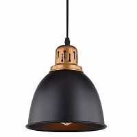 подвесной светильник arte lamp eurica a4245sp-1bk в Ростове-на-Дону