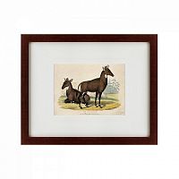 картина: two nilgais, 1830 в Ростове-на-Дону