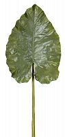 декор giant taro leaf в Ростове-на-Дону