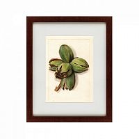 картина: watercolor collection, drawing №1, 1909 в Ростове-на-Дону