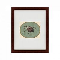 картина: spider, 1690 в Ростове-на-Дону