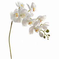 искусственный цветок орхидея белая 105 см в Ростове-на-Дону