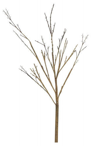 декор twig stem в Ростове-на-Дону