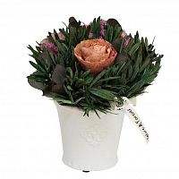 цветочная композиция розовые розы в горшке 17х20 в Ростове-на-Дону