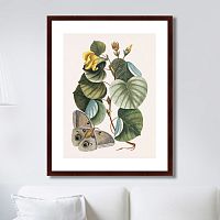 картина: beauty bloom №3, 1732г. в Ростове-на-Дону