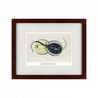 картина: spotted ray, 1829 в Ростове-на-Дону