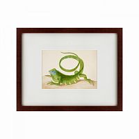 картина: green iguana, 1701 в Ростове-на-Дону