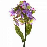 декоративное растение гортензия фиолетовая 87 см в Ростове-на-Дону