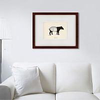 картина: malayan tapir, 1872 в Ростове-на-Дону