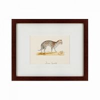 картина: an ocelot, 1801 в Ростове-на-Дону