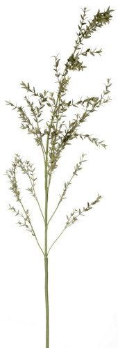 декор eucaliptis в Ростове-на-Дону