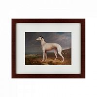 картина: portrait of a greyhound, 1744 в Ростове-на-Дону