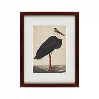 картина: black stork in a landscape, индия, 1780 в Ростове-на-Дону
