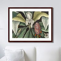 картина: beauty bloom №2, 1732г. в Ростове-на-Дону