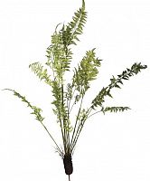 декор fern plant в Ростове-на-Дону