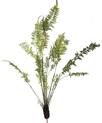 декор fern plant в Ростове-на-Дону
