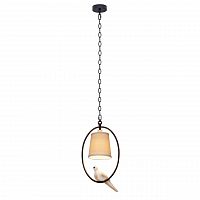 подвесной светильник loft it loft1029a-1 в Ростове-на-Дону