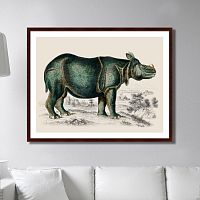 картина: rhinoceros, 1774г. в Ростове-на-Дону