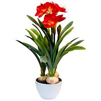 амариллис красный в горшке 76 см в Ростове-на-Дону