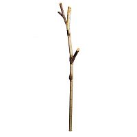 декоративное растение ствол березы 140 см в Ростове-на-Дону